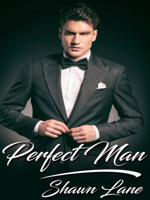 cover image of Perfect Man